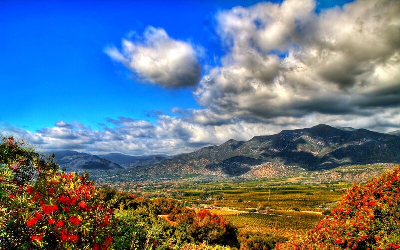 Mountain valley with vineyards