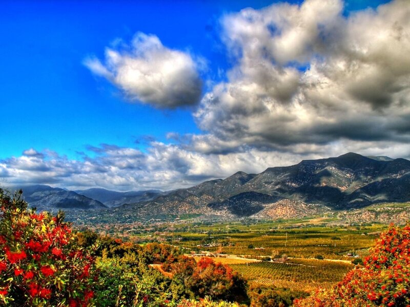 Mountain valley with vineyards