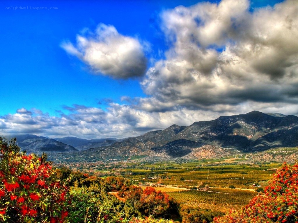 Mountain valley with vineyards