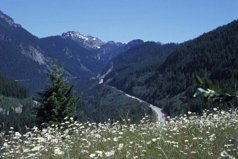 mountain valley with wildflowers