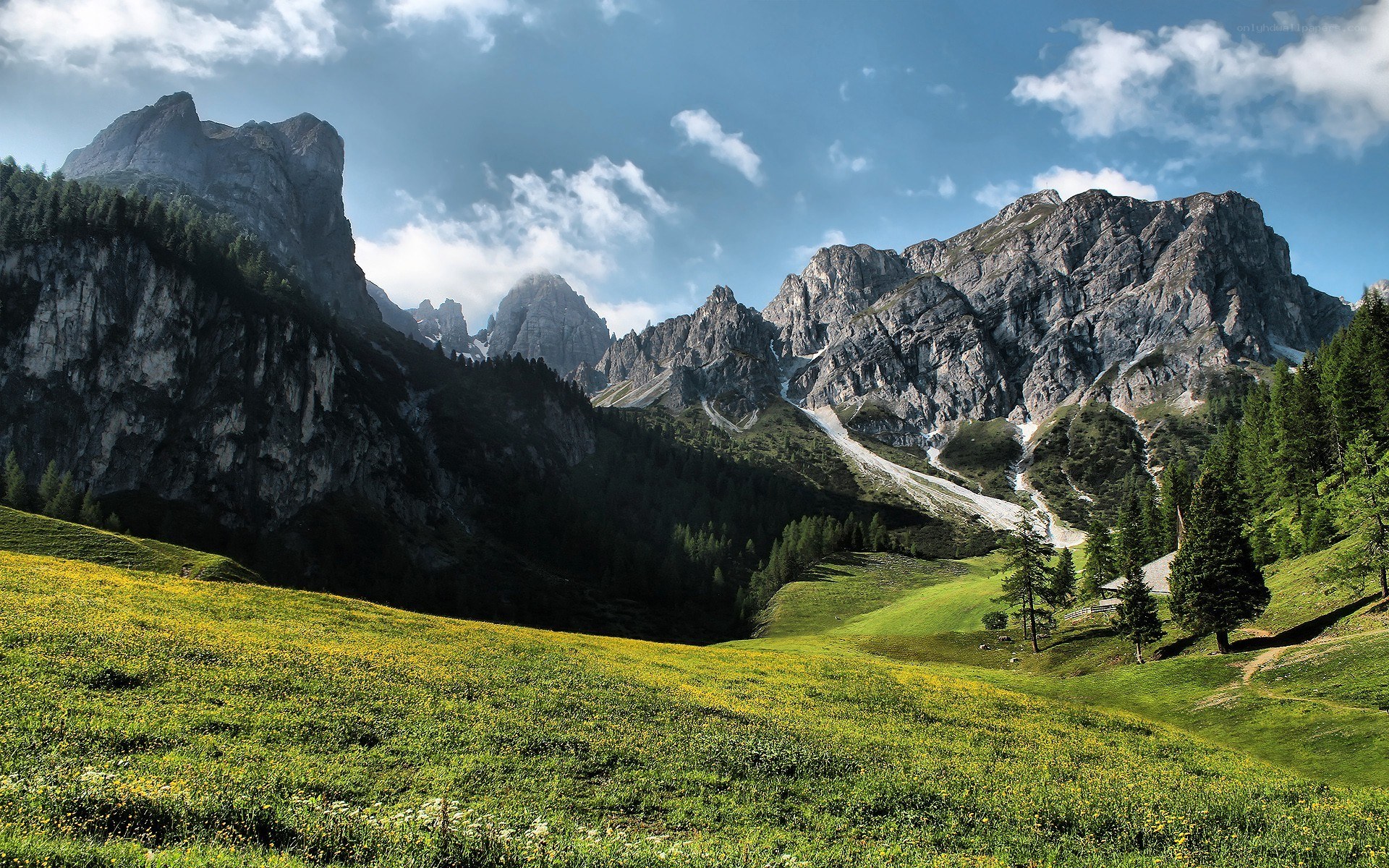 Mountain valley with wildflowers