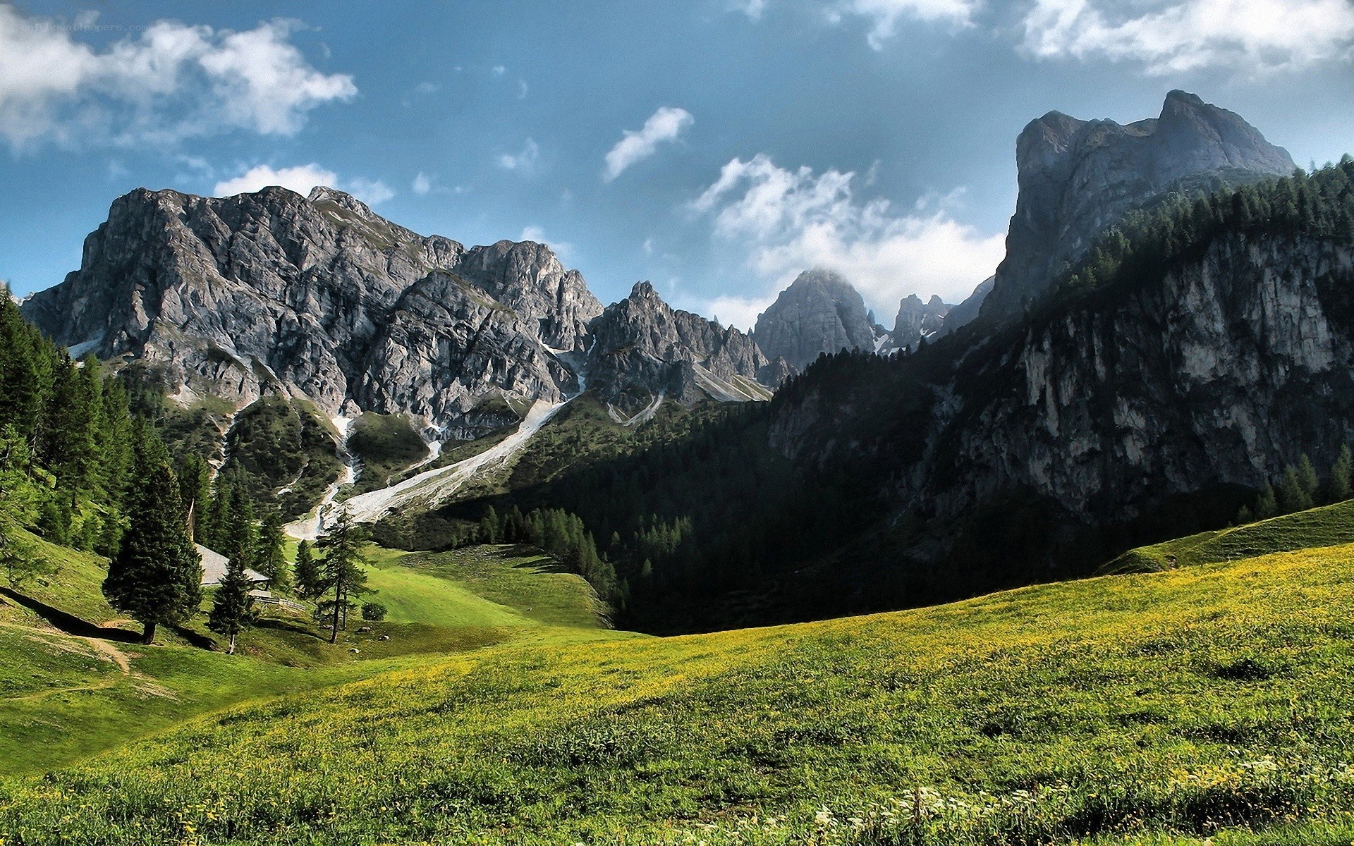 Mountain valley with wildflowers