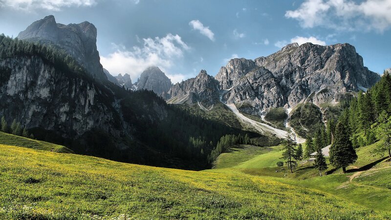 Mountain valley with wildflowers