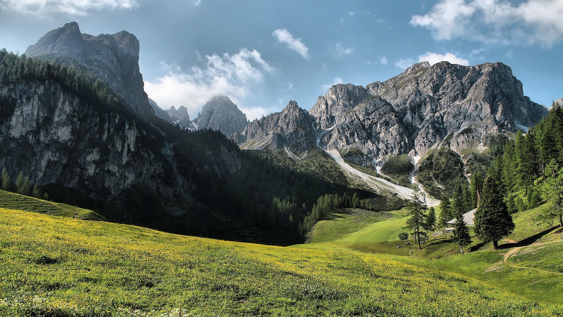 Mountain valley with wildflowers