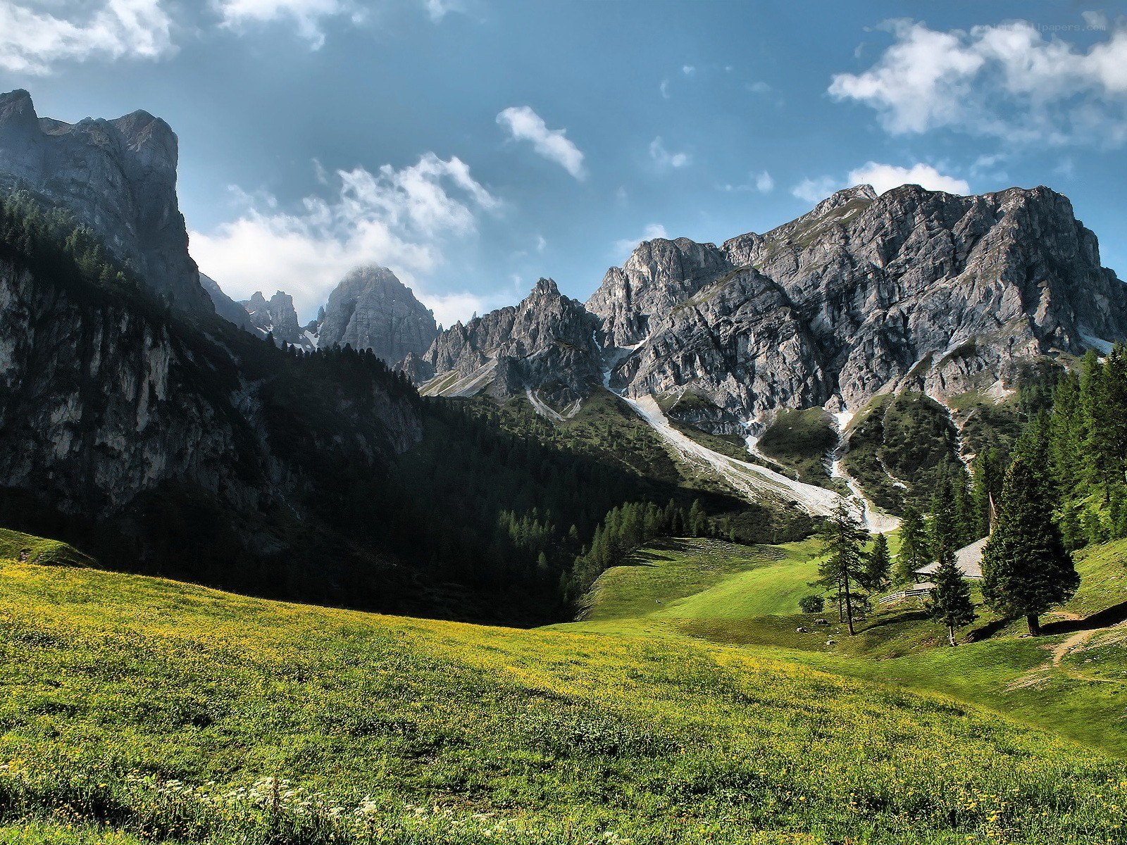 Mountain valley with wildflowers