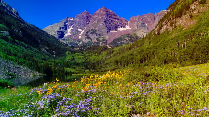 Mountain Valley with Wildflowers — Blue, Serene, Summer