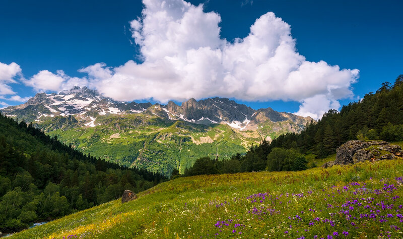 Mountain Valley with Wildflowers — Blue