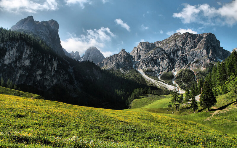 Mountain Valley with Wildflowers — Green, Serene, Afternoon