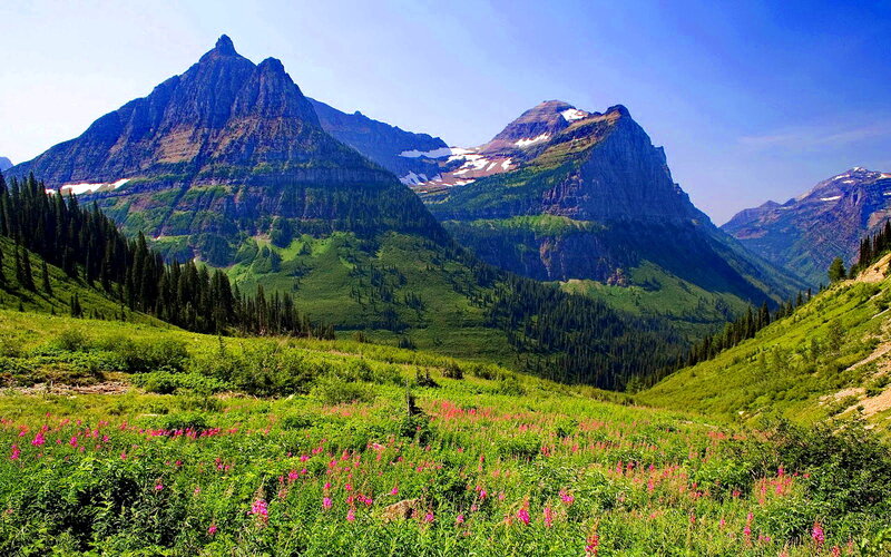 Mountain Valley with Wildflowers — Green, Serene, Summer, Photograph, Mountains
