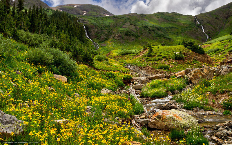 Mountain Valley with Wildflowers — Green, Serene, Summer, Photograph, Stream