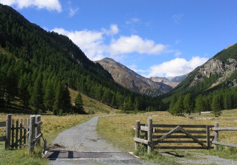 Mountain valley with wooden gate