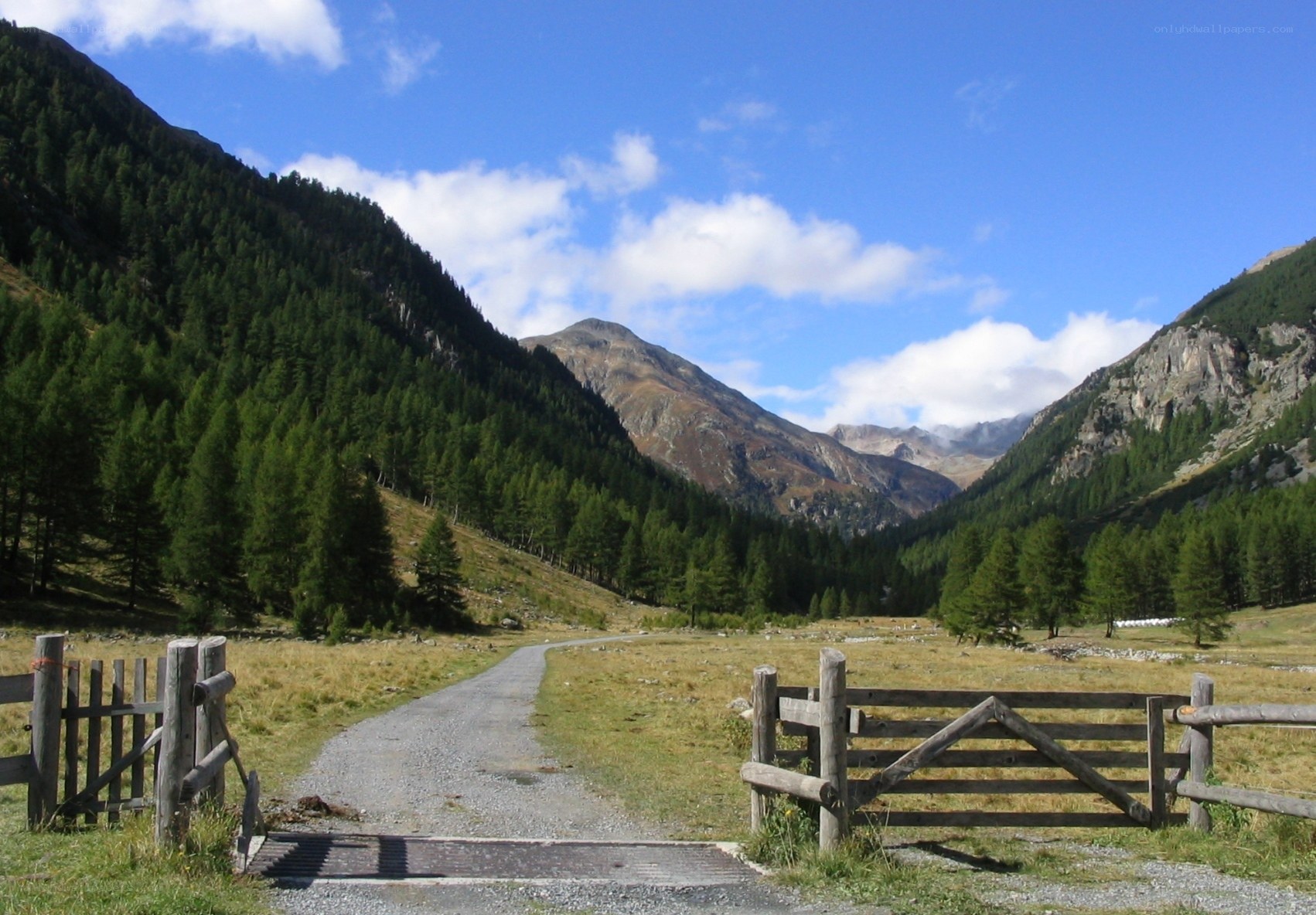 Mountain valley with wooden gate