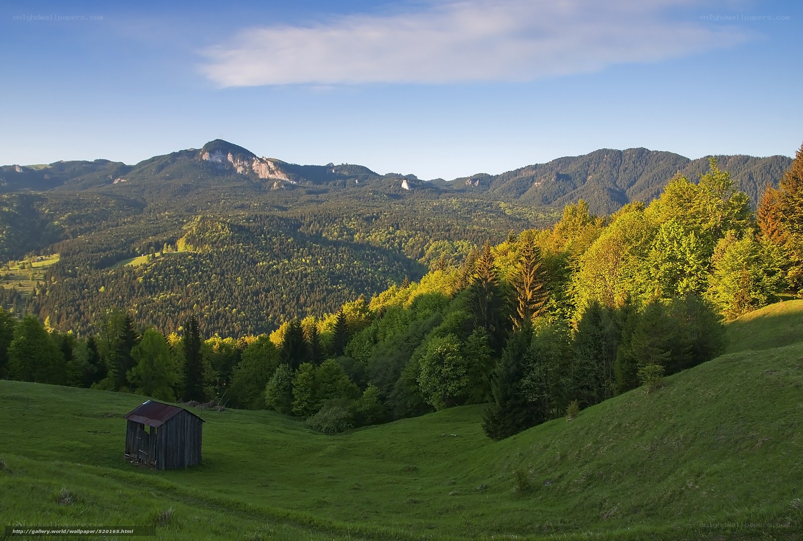 Mountain valley with wooden hut