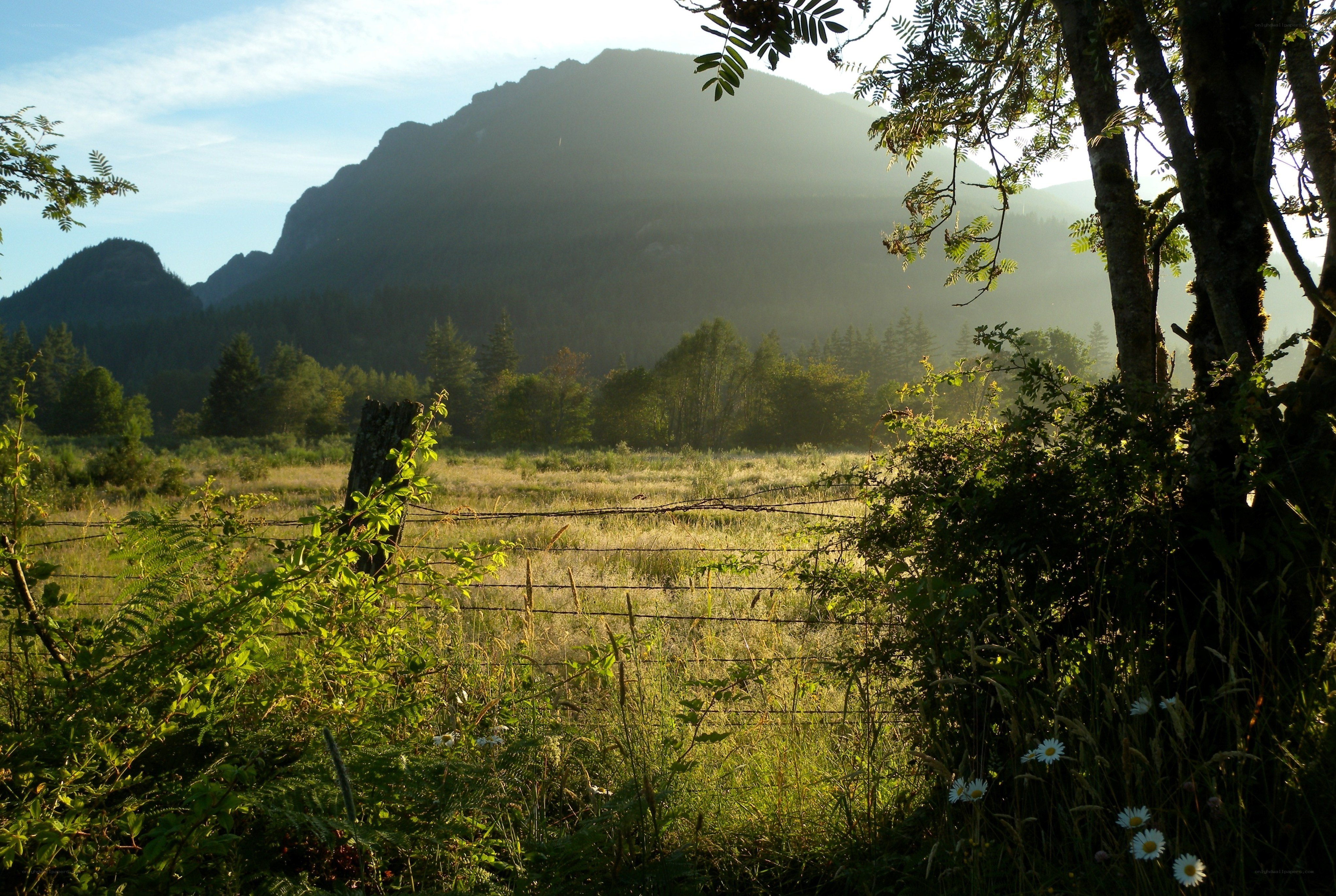 Mountain view at sunrise