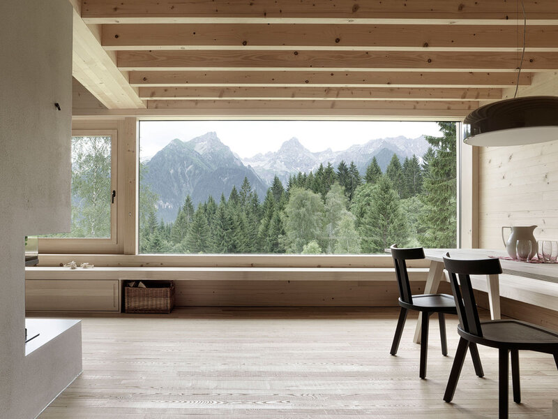 Mountain View from Cabin — Brown