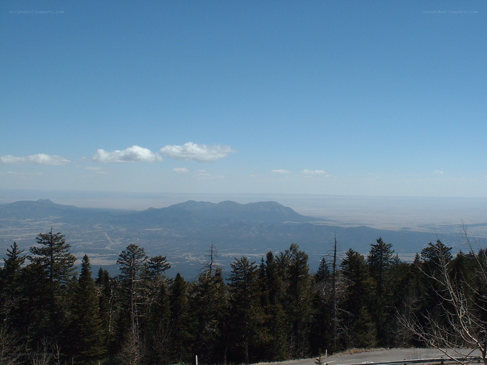 mountain view from forest overlook