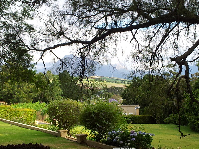 Mountain View from Garden