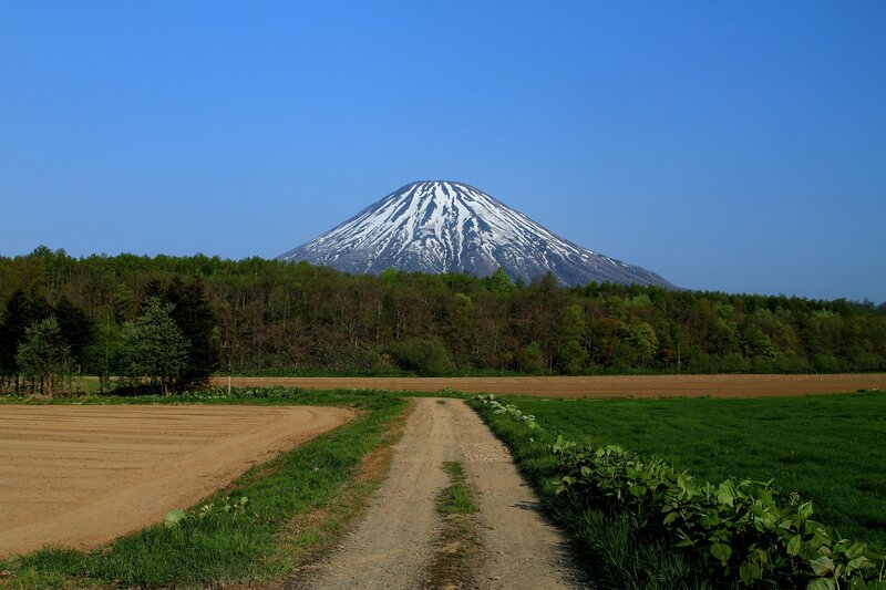Mountain view from rural path