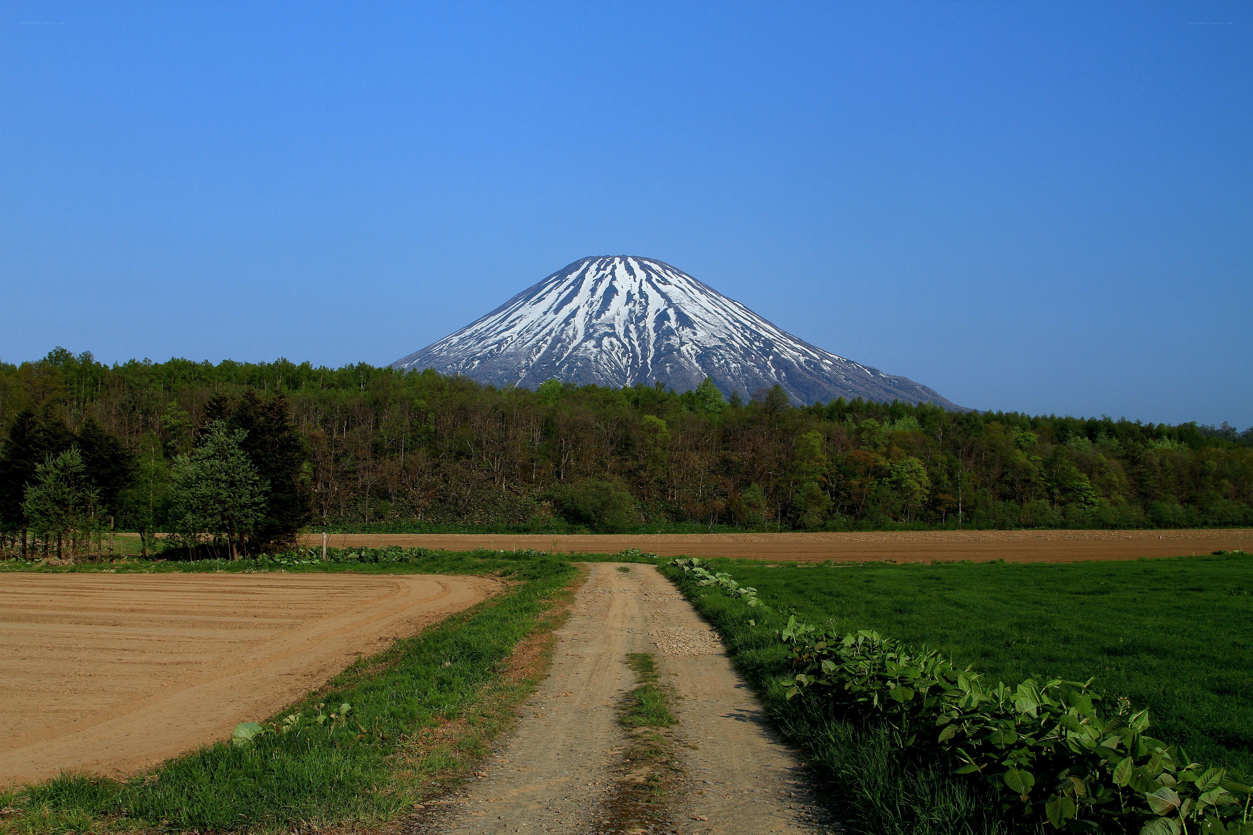 Mountain view from rural path