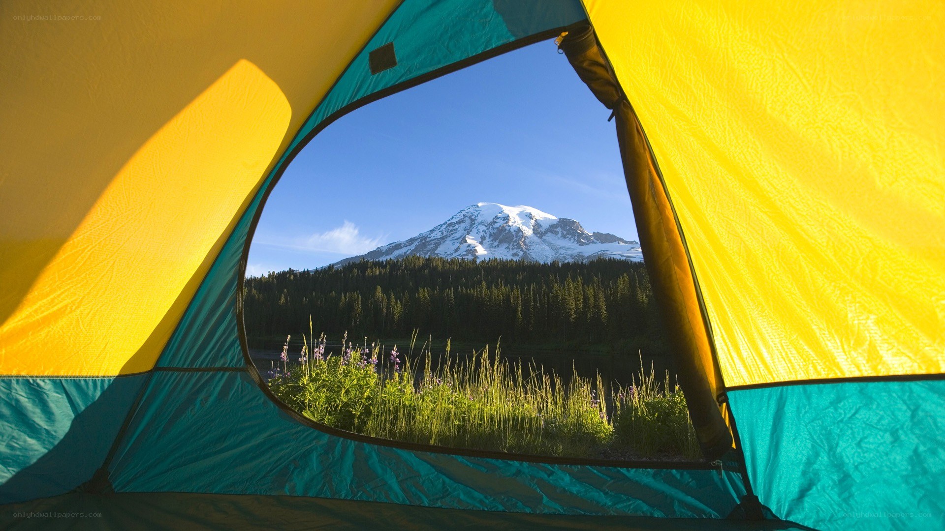 Mountain view from tent