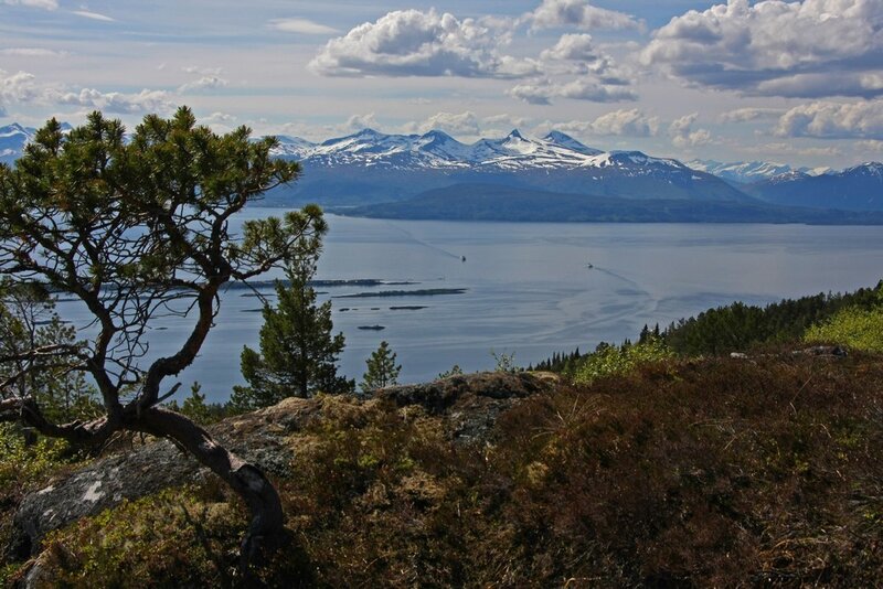 Mountain view over a fjord