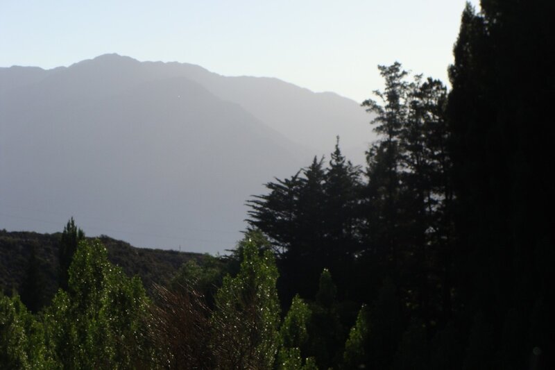 mountain view through trees