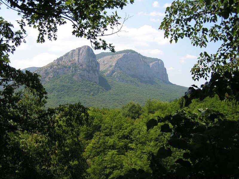 Mountain view through trees