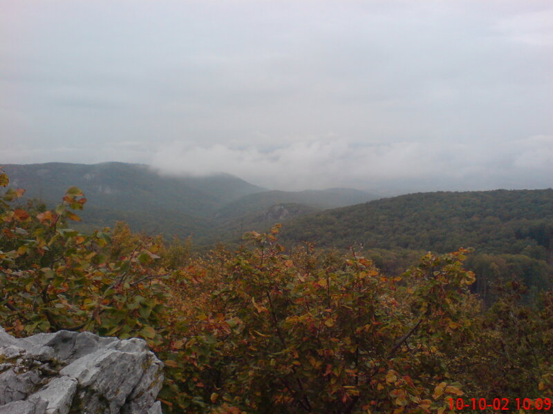 mountain view with autumn foliage
