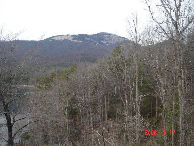 mountain view with bare trees