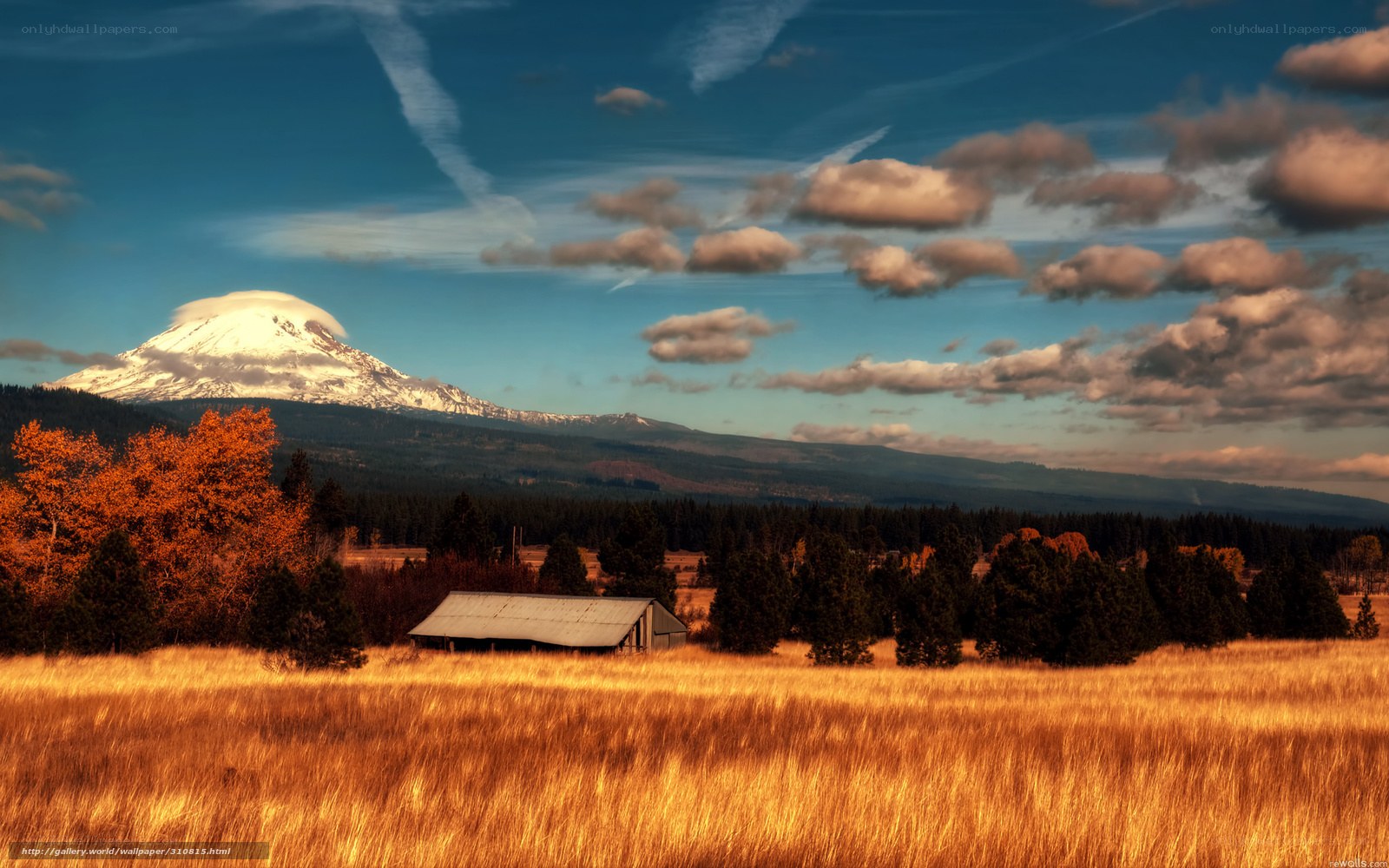 Mountain view with barn