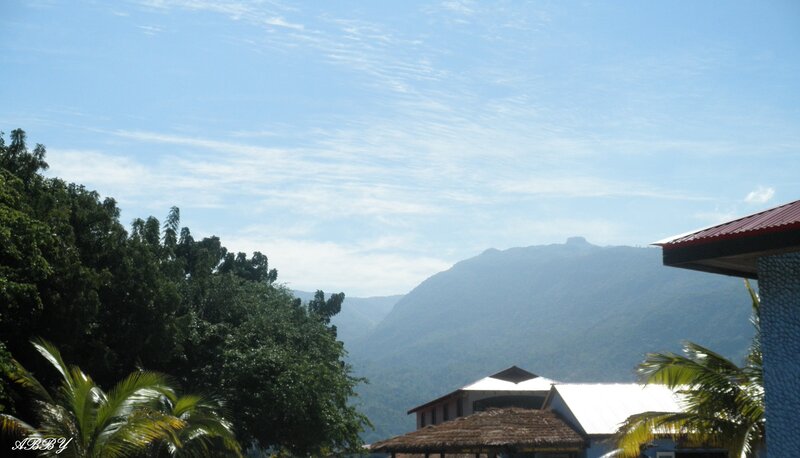 Mountain View with Buildings