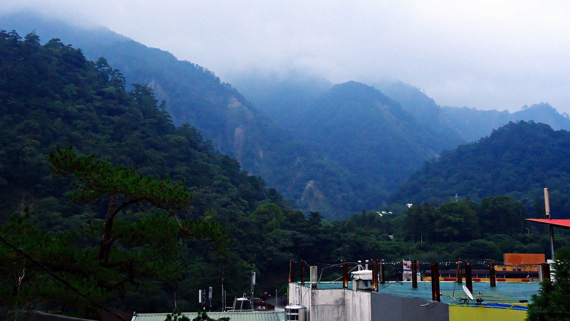 mountain view with fog and trees
