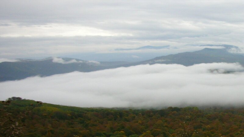 mountain view with fog