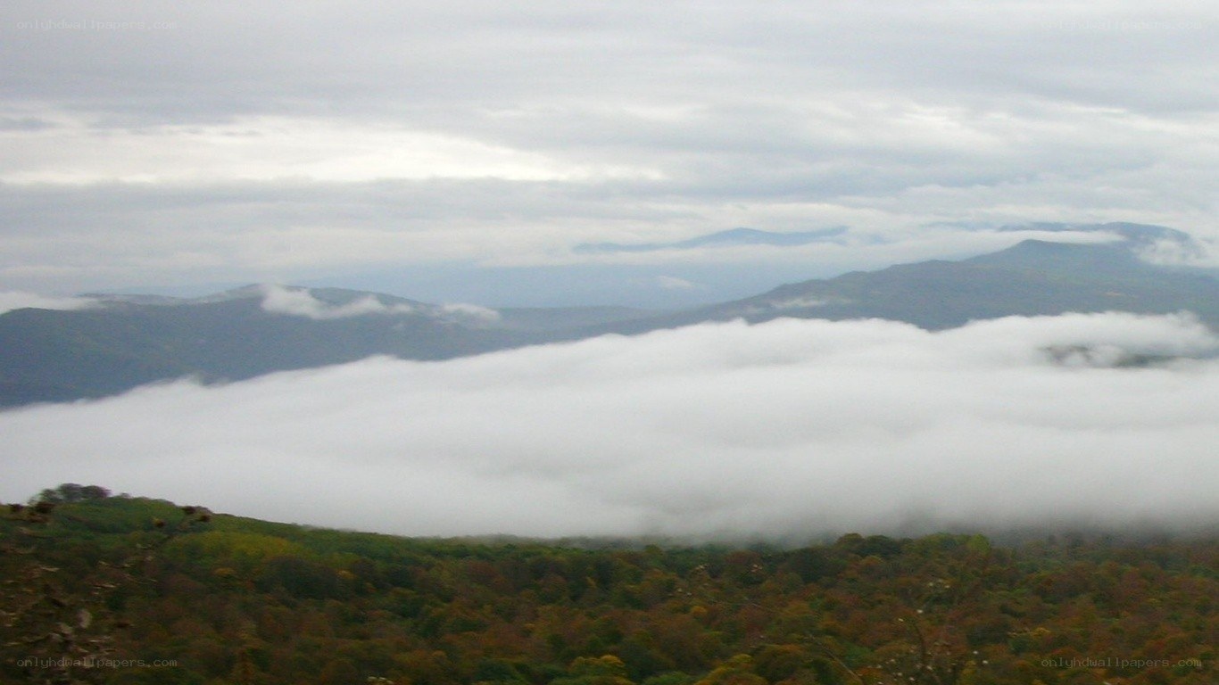 mountain view with fog