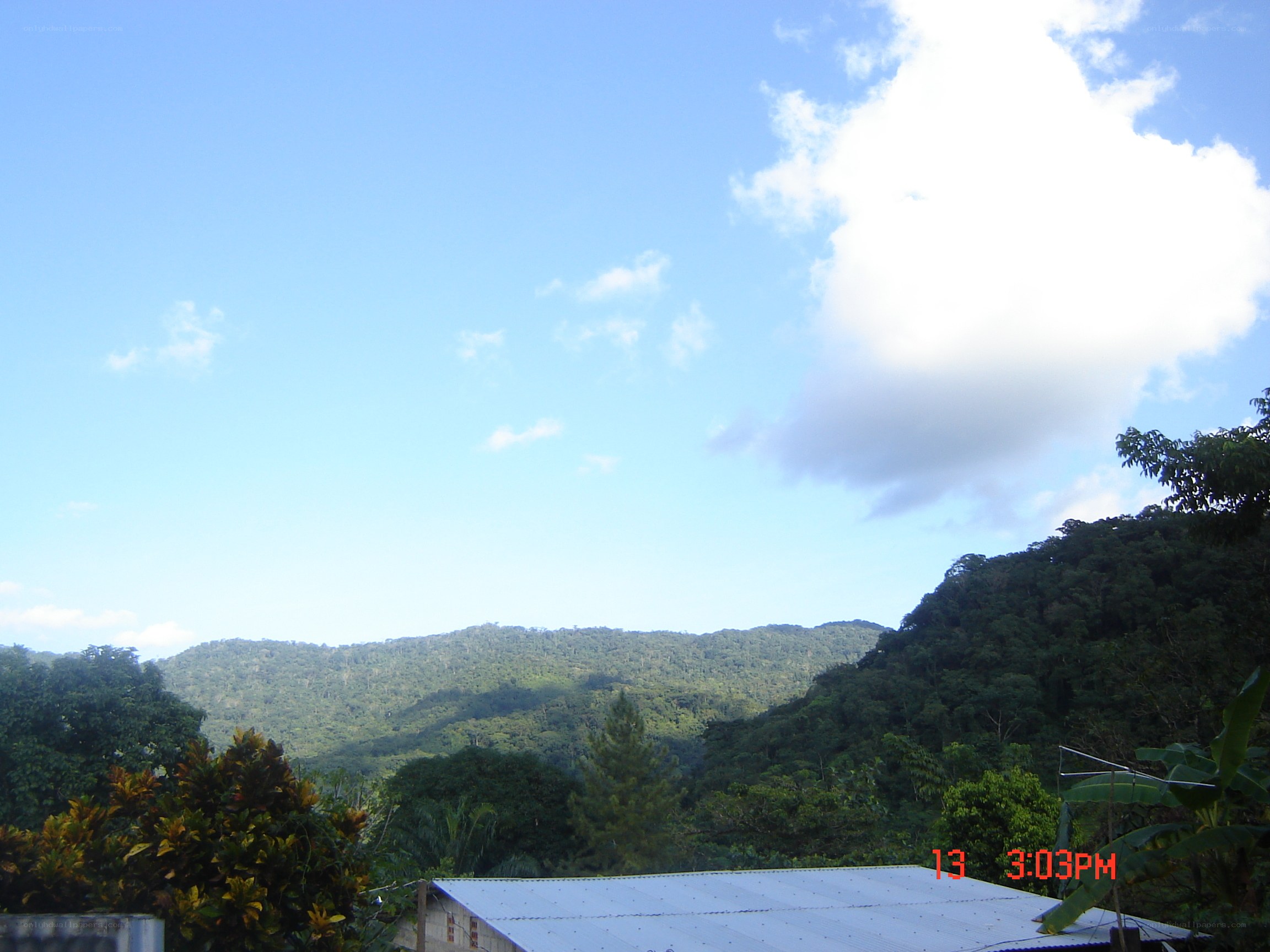 Mountain view with forest and roof