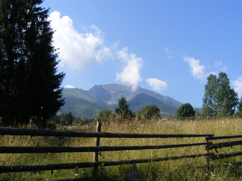 Mountain view with wooden fence