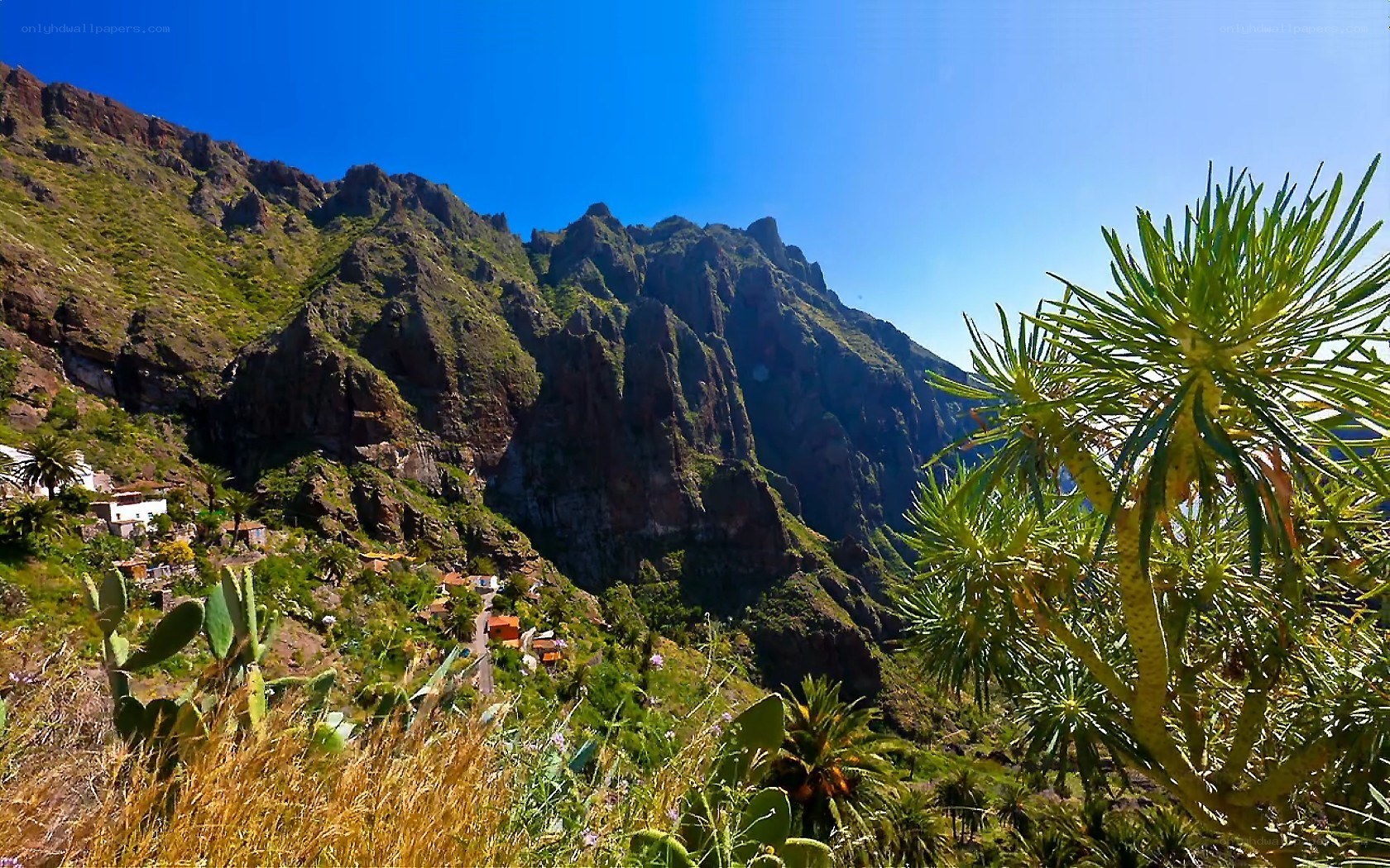 Mountain village in a canyon