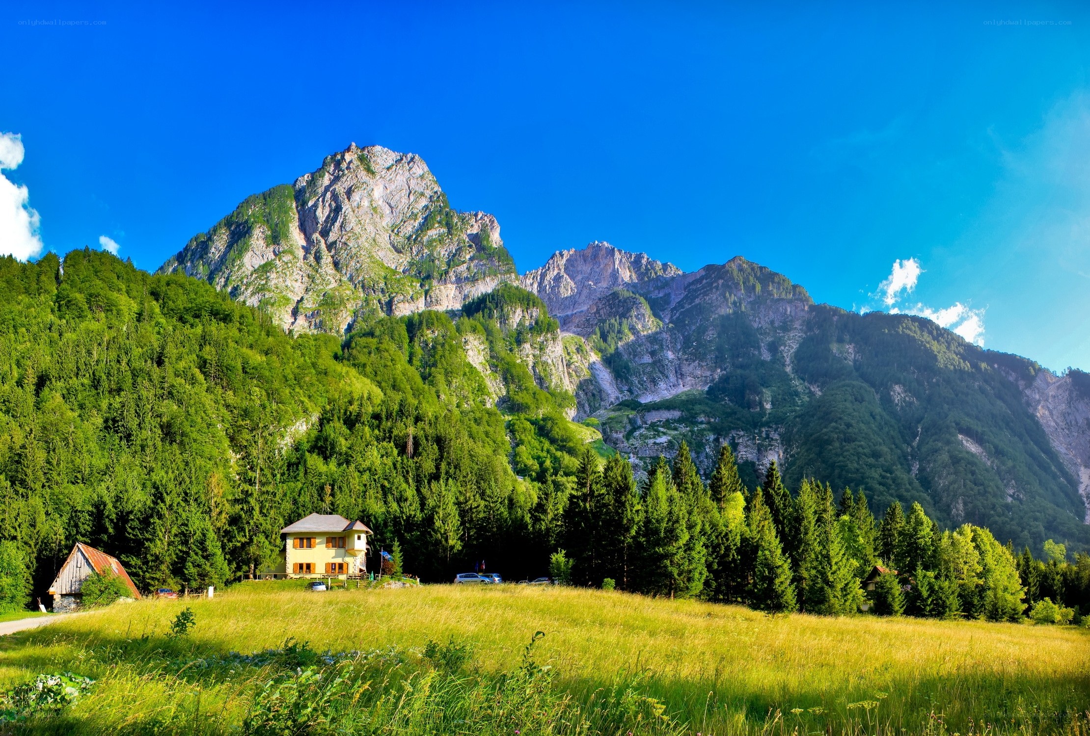 Mountain village in a green valley