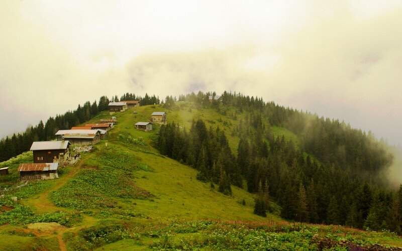 Mountain Village in Fog — Green, Misty, Morning