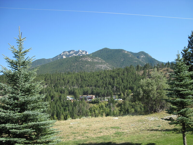 Mountain Village in Forest — Green