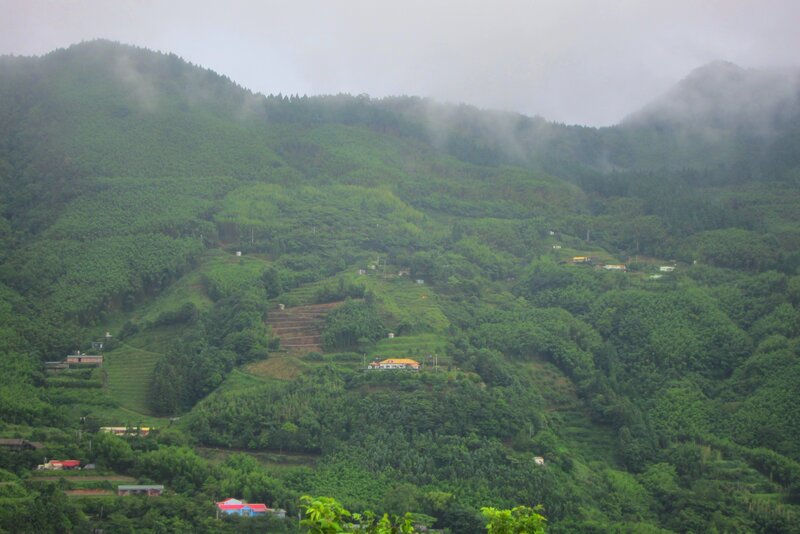 Mountain Village in Mist