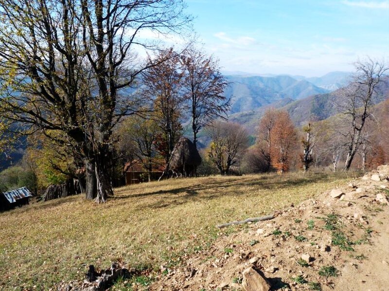 Mountain Village Landscape — Green, Serene, Autumn, Photograph