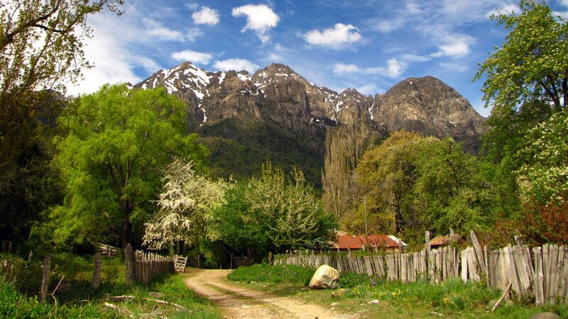 Mountain Village Path — Green