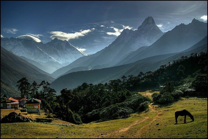 Mountain village with grazing horse