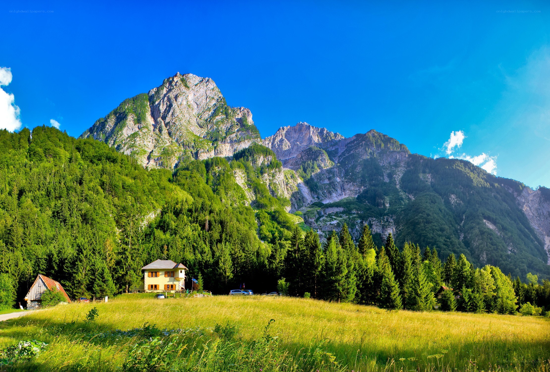 Mountain village with green fields