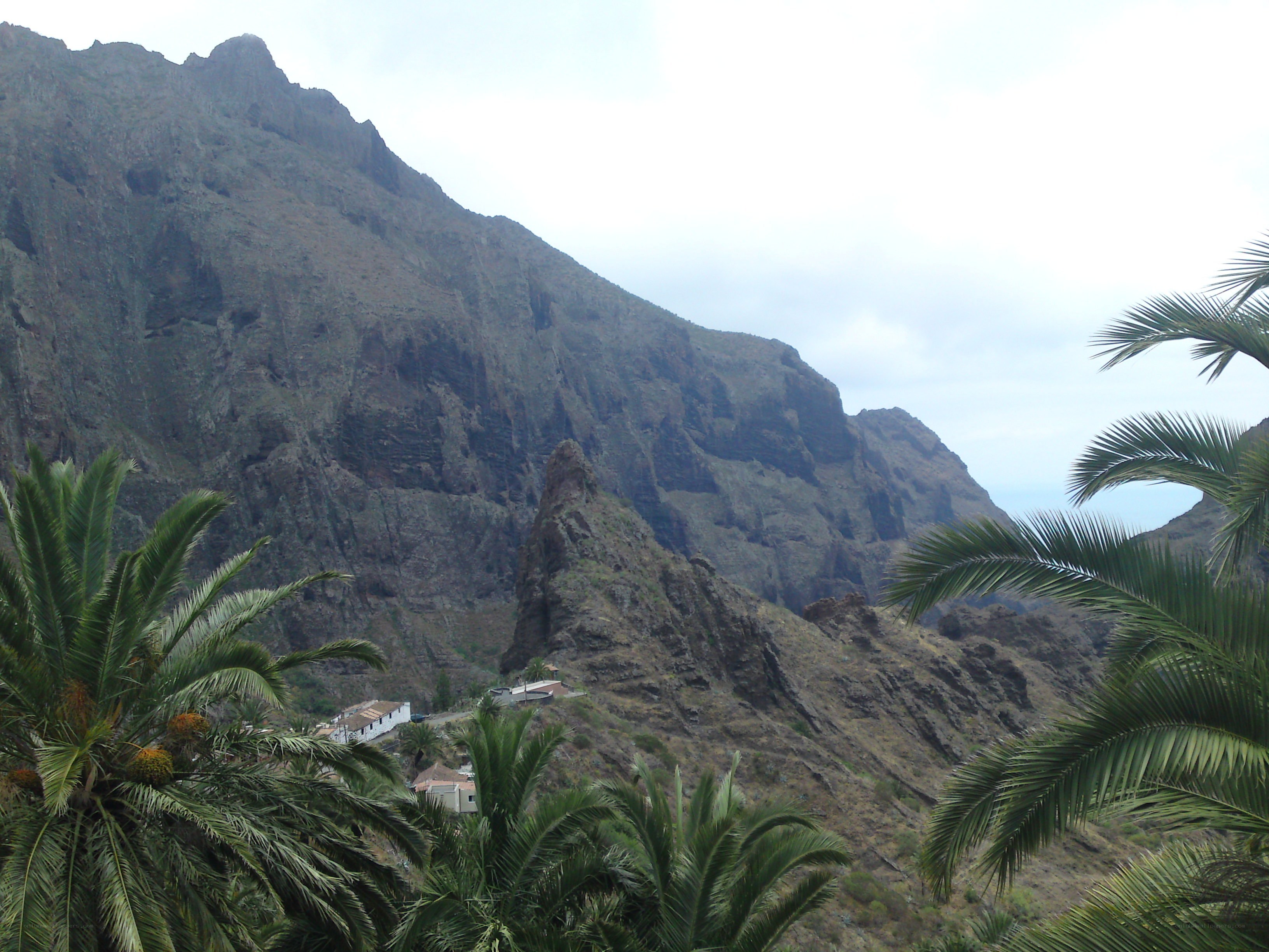 mountain village with palm trees