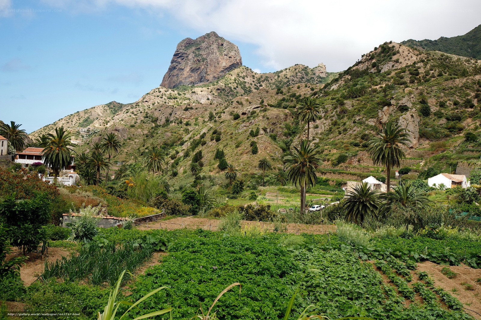 mountain village with palm trees