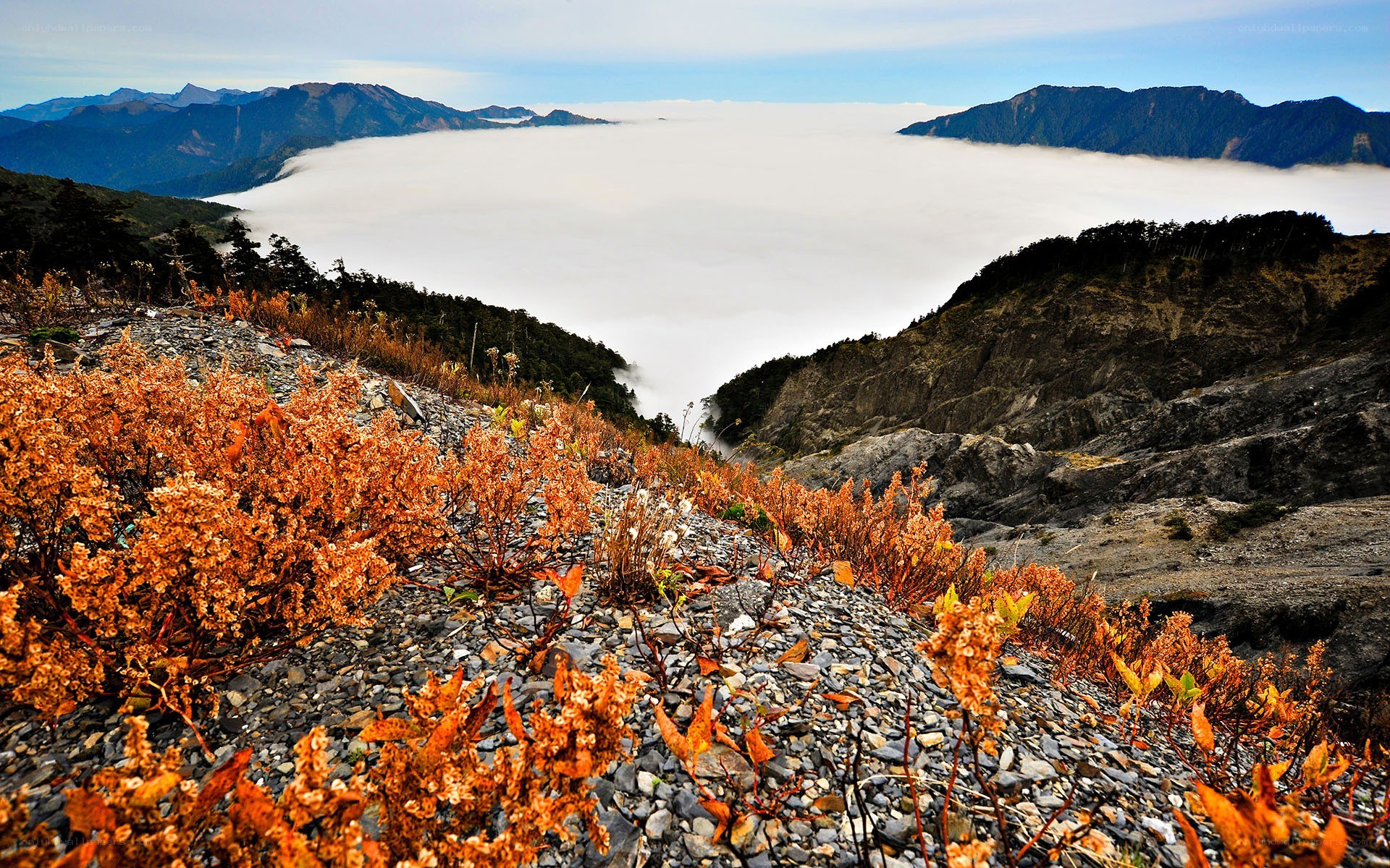 Mountain vista above the clouds