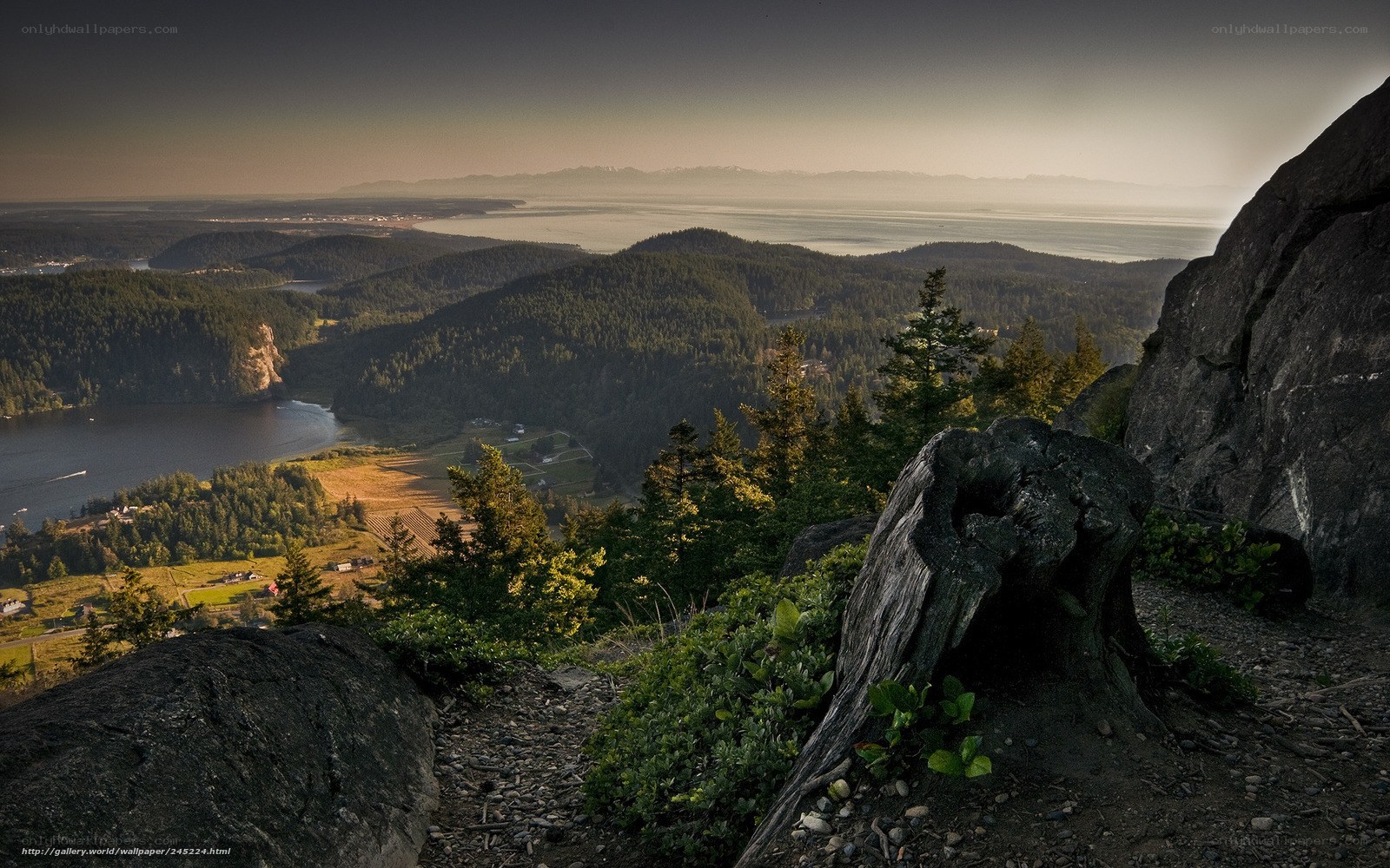 Mountain vista overlooking forested valley