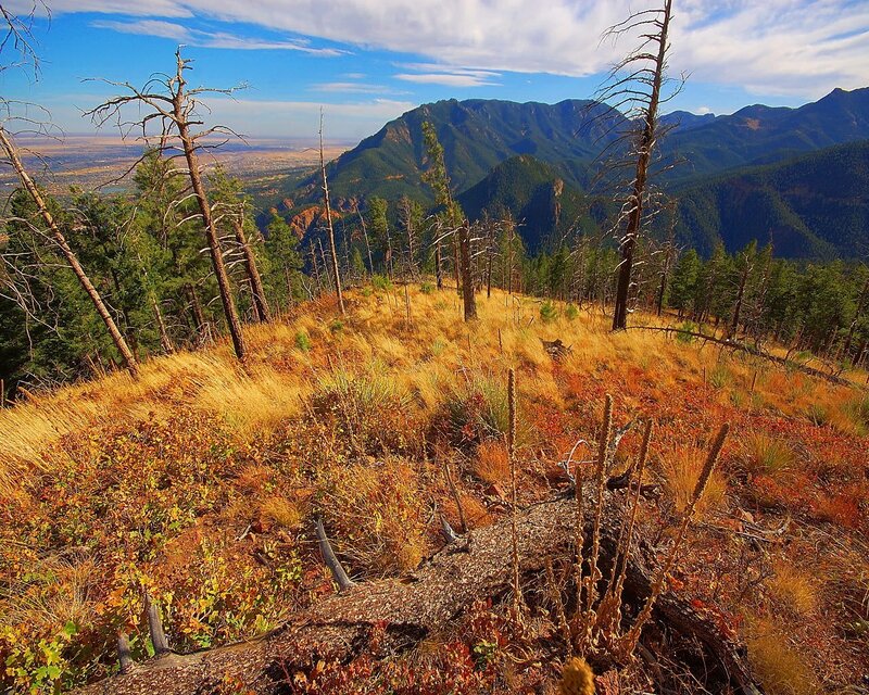 Mountain vista with autumn grass